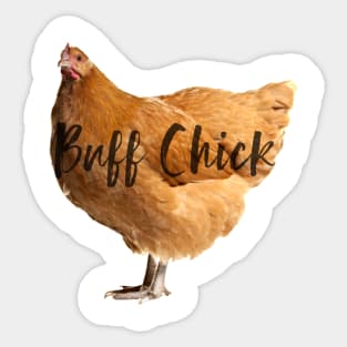 Buff Chick Sticker